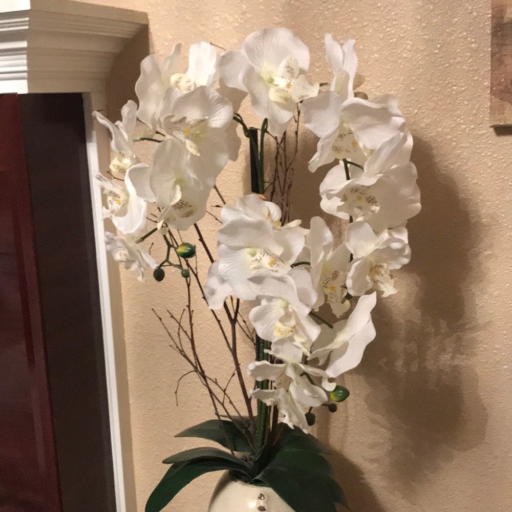 Meet your Posher, Gabby